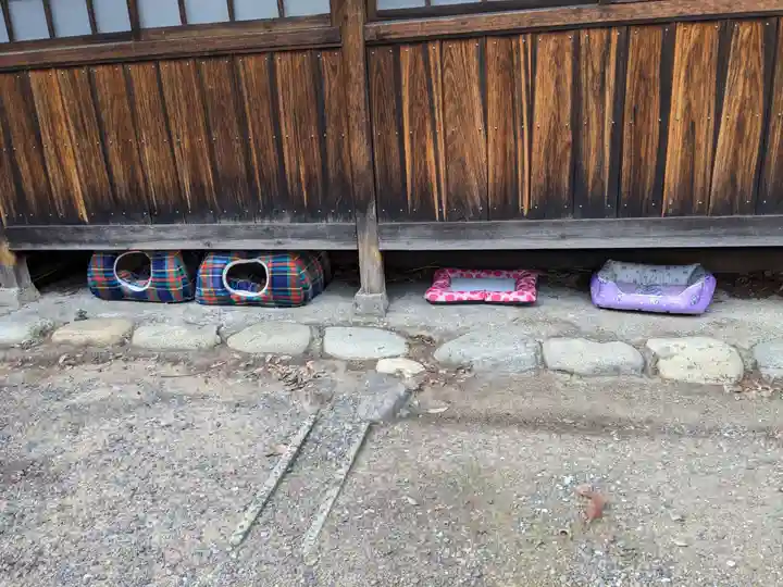 八幡社(柏井町)の動物