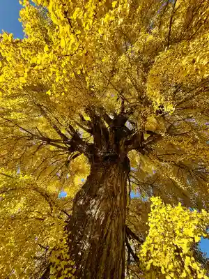 丹生酒殿神社(和歌山県)