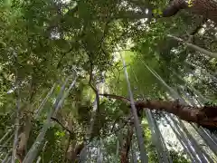 小倉神社の自然