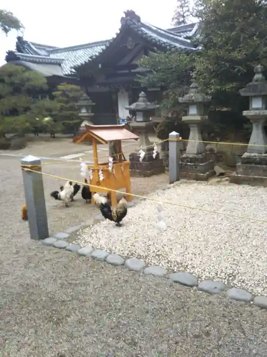 石上神宮の動物