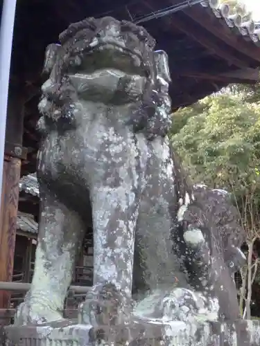 向日神社の狛犬