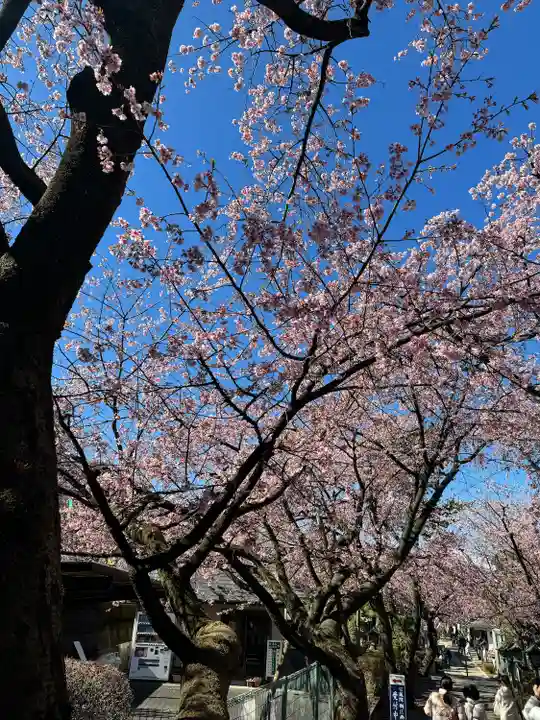 密藏院(埼玉県)