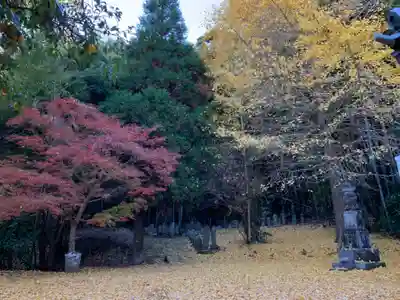 吉祥院(千葉県)