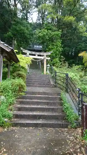 金比羅神社の鳥居