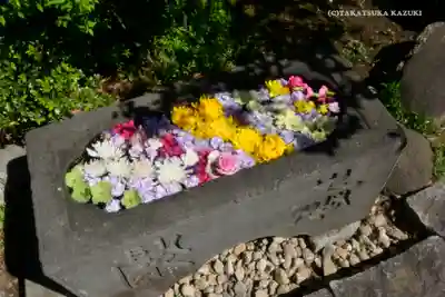 石歴山 妙勝寺の手水舎