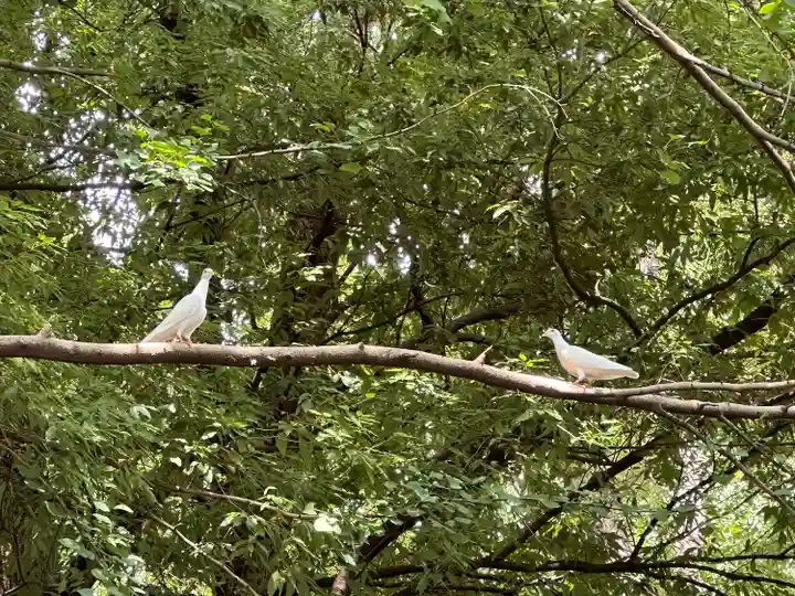 靖國神社(東京都)