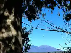 子檀嶺神社(長野県)