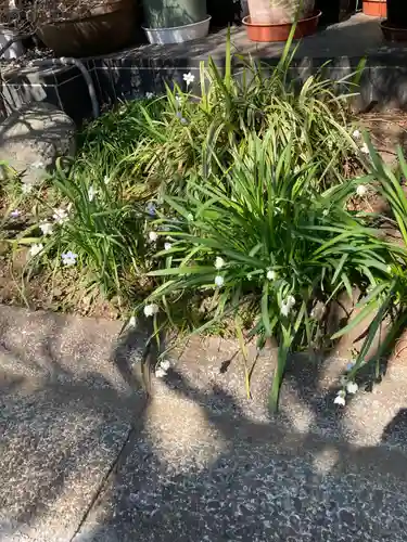 光照寺(神奈川県)