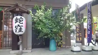 蛇窪神社(東京都)