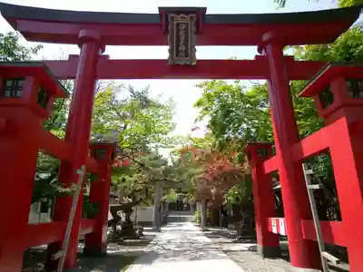 彌彦神社　(伊夜日子神社)の鳥居