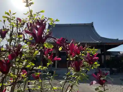 真照寺(岐阜県)