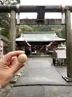 龍尾神社(静岡県)