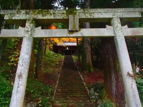 春日神社の鳥居