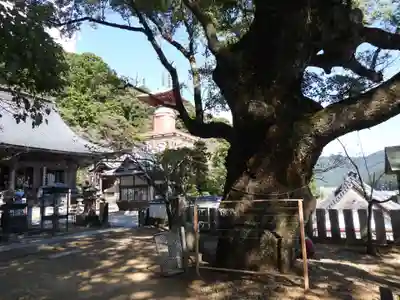薬王寺(徳島県)