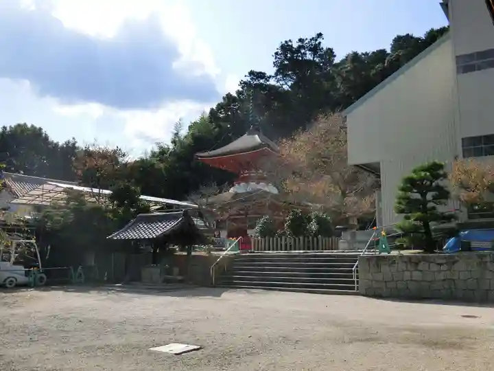 金剛寺の庭園