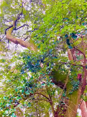 飛龍神社(茨城県)