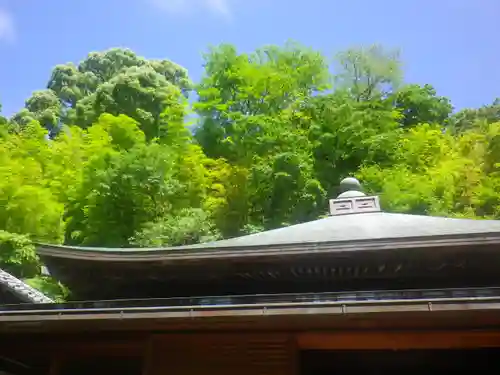 東慶寺の自然