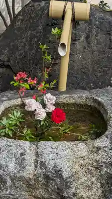本隆寺（本妙興隆寺）(京都府)