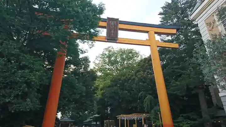 川越氷川神社の鳥居