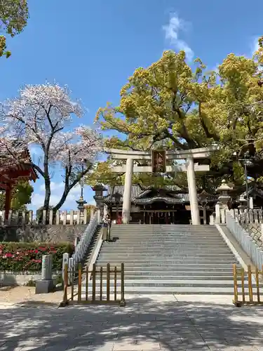 百舌鳥八幡宮の鳥居