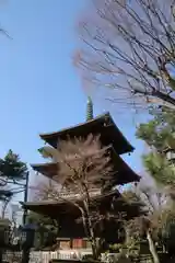 豪徳寺の塔