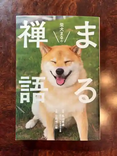 白林禅寺、白林寺(愛知県)