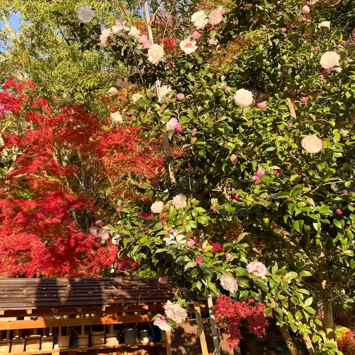 伊勢の国 四天王寺(三重県)