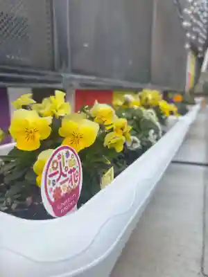 聖光寺(福岡県)