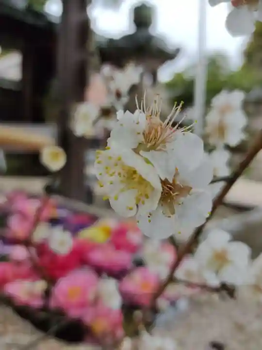 神館神社の自然
