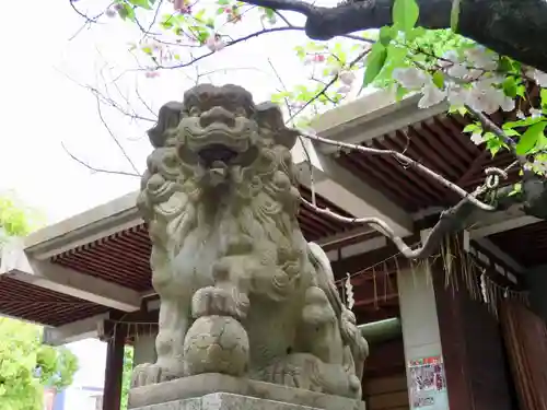 亀戸 香取神社の狛犬