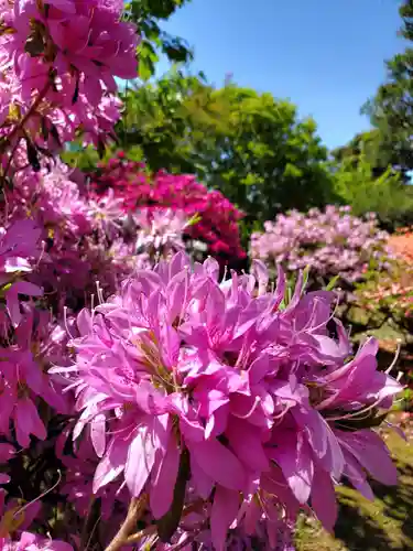 開成山大神宮(福島県)