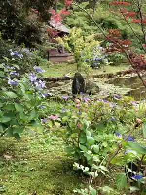 本土寺(千葉県)