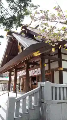 新琴似神社の本殿・本堂