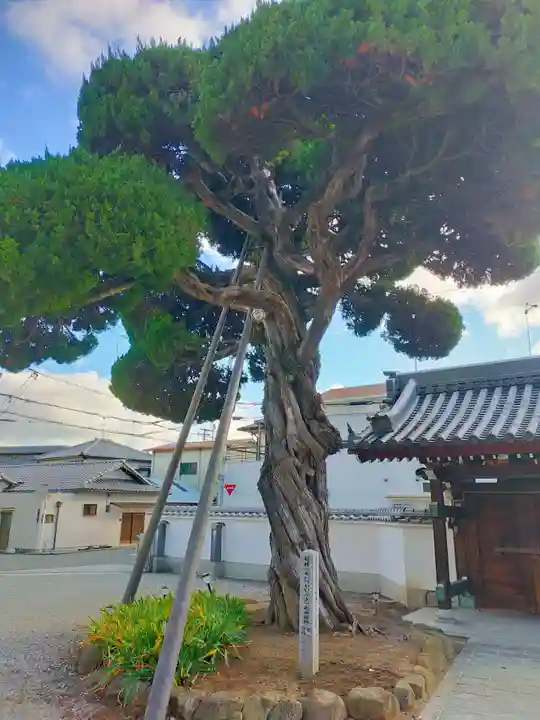 以速寺(大阪府)