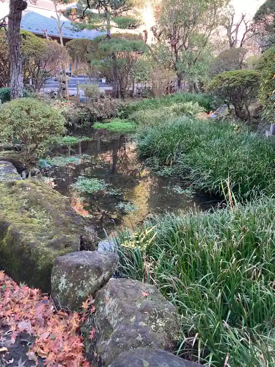 光触寺の庭園