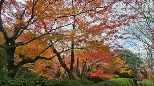法輪寺(京都府)