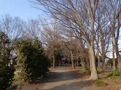 今城青坂稲実池上神社のその他建物