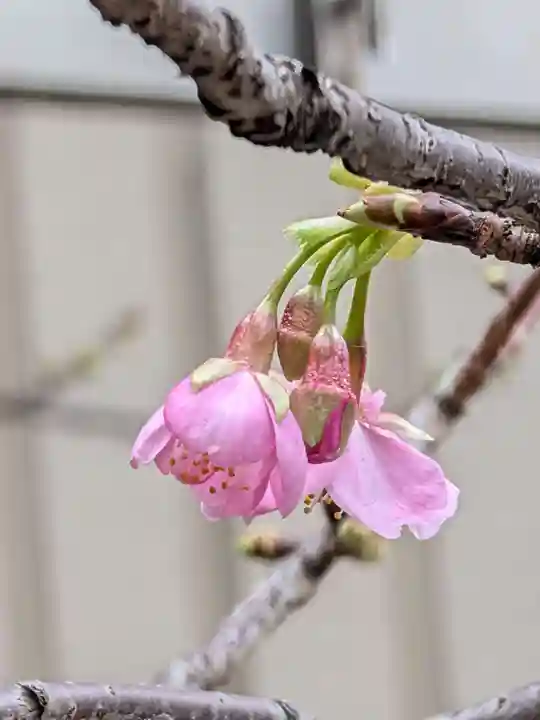 十番稲荷神社(東京都)