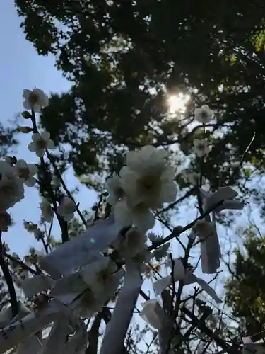 駛馬天満宮(福岡県)