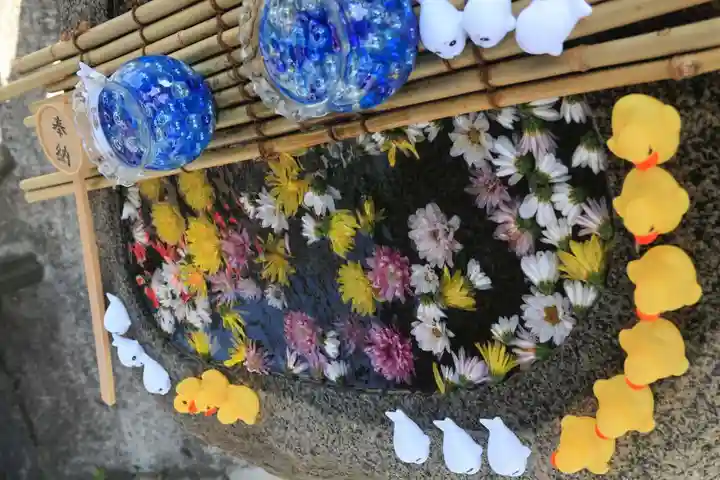 阿邪訶根神社の手水舎