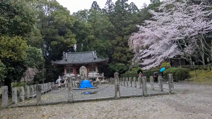 醍醐寺(京都府)
