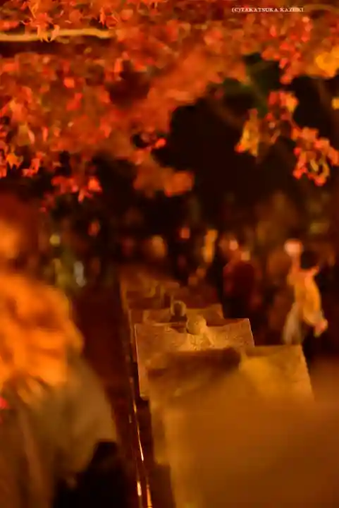 大山寺(神奈川県)