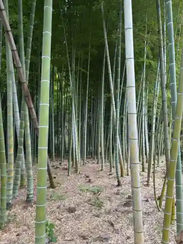 英勝寺(神奈川県)