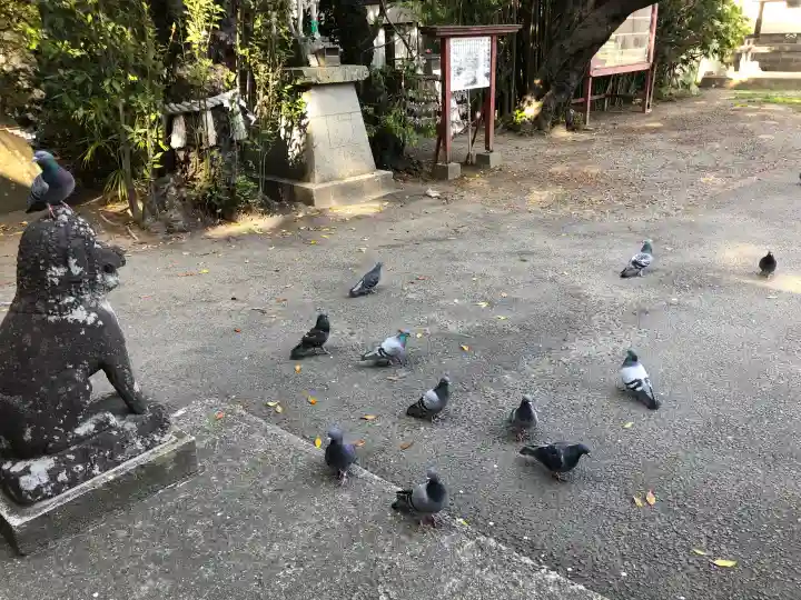 沖野八幡神社の{uncategorized: "未分類", other: "その他", undefined: "問題あり", building: "その他建物", grave: "お墓", sacred_gate: "鳥居", guardian: "狛犬", statue: "像", buddha: "仏像", history: "歴史", nature: "自然", garden: "庭園", animal: "動物", pagoda: "塔", temizu: "手水舎", mountain_gate: "山門・神門", sanctuary: "本殿・本堂", subordinate: "末社・摂社", art: "芸術", scenery: "景色", jizo: "地蔵", ema: "絵馬", goshuin: "御朱印", omikuji: "おみくじ", items: "授与品その他", amulet: "お守り", goshuincho: "御朱印帳", eats: "食事", festival: "お祭り", votive_dance: "神楽", shichigosan: "七五三参", wedding: "結婚式", experience: "体験その他", initially: "初詣", around: "周辺", anti_infection: "感染症対策"}