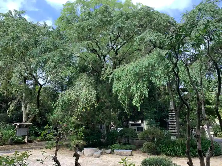 小松寺(茨城県)