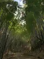 子安神社(千葉県)