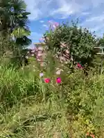 正福寺(神奈川県)