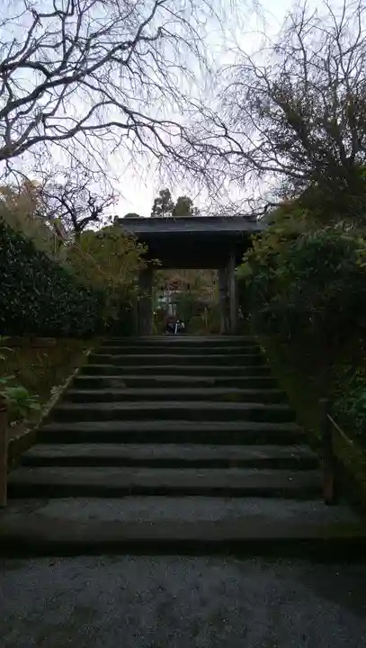 明月院の山門・神門