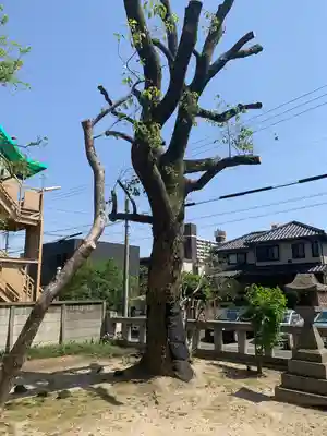 大御霊神社(愛知県)