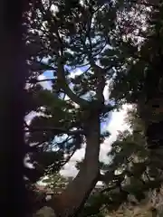 玉津島神社(和歌山県)